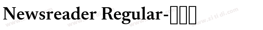 Newsreader Regular字体转换